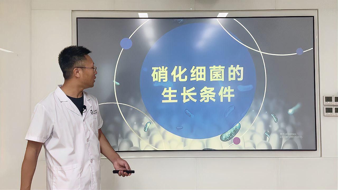 龍魚對硝化細菌敏感嗎：龍魚對硝化細菌的敏感性 龍魚對硝化細菌敏感嗎：龍魚對硝化細菌的敏感性 龍魚百科 第3張