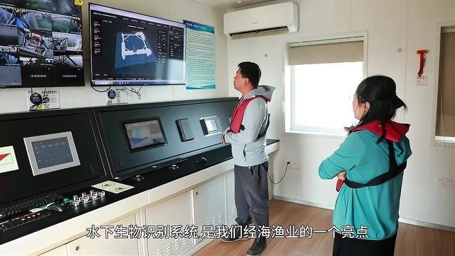 如何判斷深草旅店碼頭的魚群活動？：判斷深草旅店碼頭的魚群活動可通過以下綜合方法分析 如何判斷深草旅店碼頭的魚群活動？：判斷深草旅店碼頭的魚群活動可通過以下綜合方法分析 龍魚百科 第2張