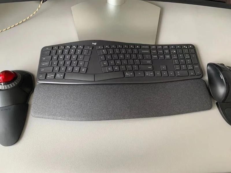 作者是否有更新頻率的聲明：作者更新頻率聲明 作者是否有更新頻率的聲明：作者更新頻率聲明 龍魚百科 第5張