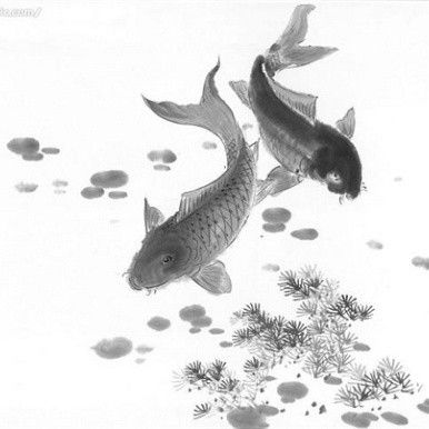 鯉魚躍龍門有哪些相關(guān)詩詞？：關(guān)于“鯉魚躍龍門”主題的詩詞