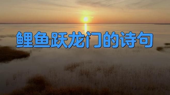 鯉魚躍龍門有哪些相關(guān)詩詞？：關(guān)于“鯉魚躍龍門”主題的詩詞