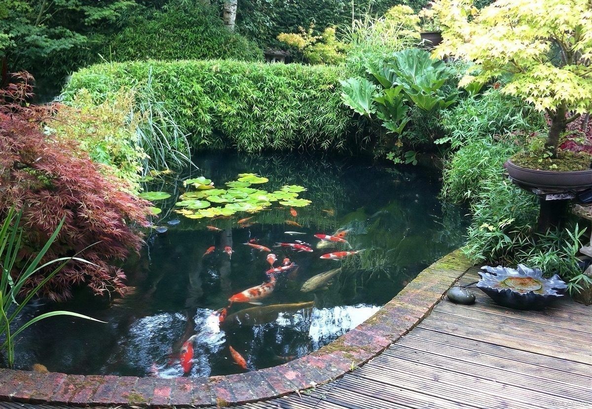 “庭栽棲鳳竹池養(yǎng)化龍魚”與哪些古訓(xùn)相關(guān)：“庭栽棲鳳竹，池養(yǎng)化龍魚”出自《增廣賢文》