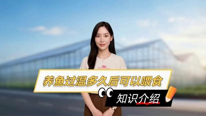 龍魚過溫后多久喂食：龍魚過溫后的喂食時間需根據環境適應情況綜合判斷