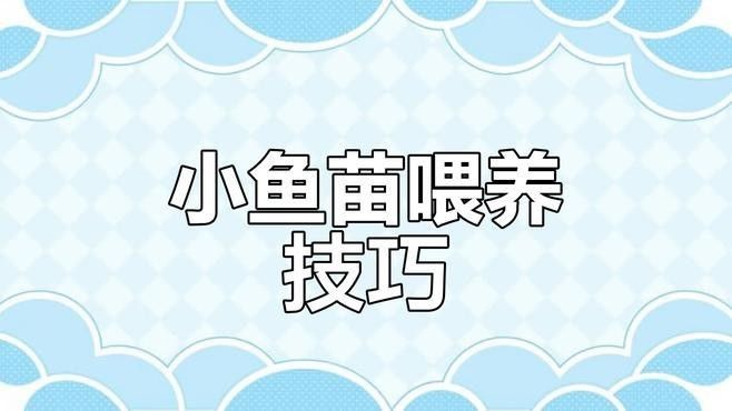 如何處理小魚以確保安全投喂：抓野生魚喂觀賞先學會這3個安全處理方法
