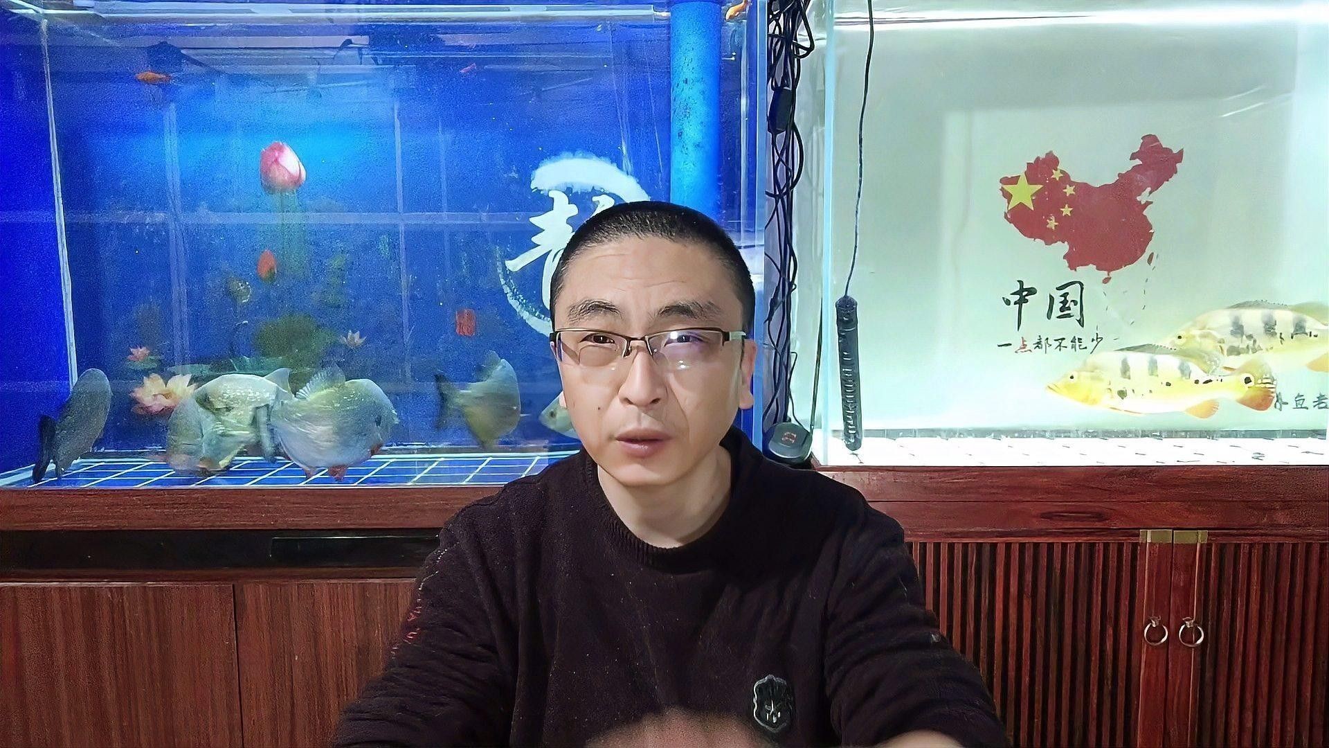 如何處理小魚以確保安全投喂：抓野生魚喂觀賞先學會這3個安全處理方法
