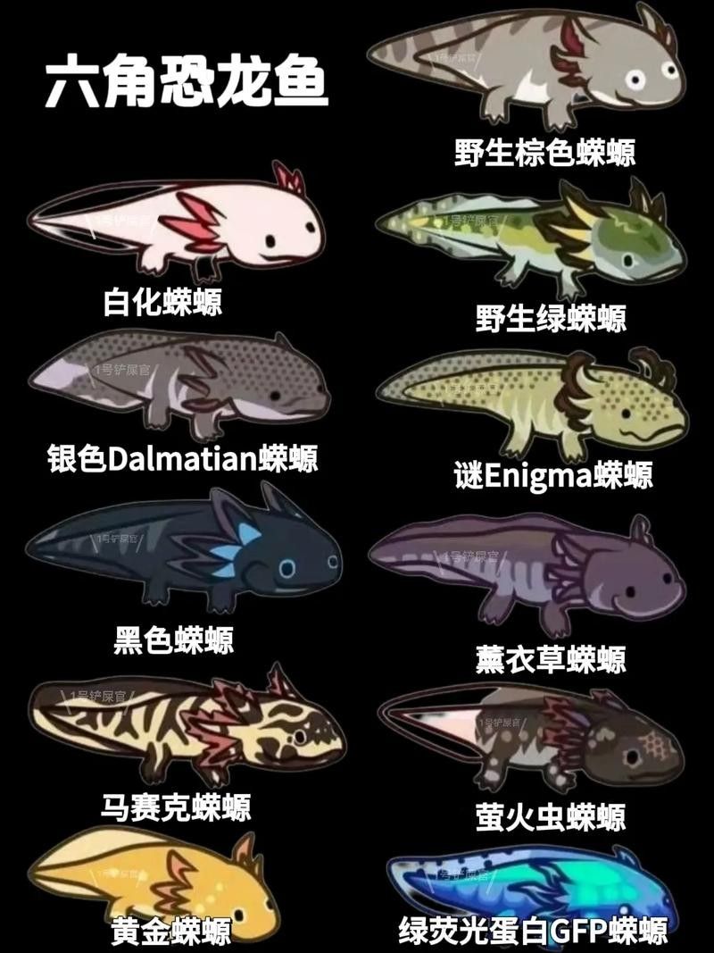 恐龍魚哪個品種最好養(yǎng)？：恐龍魚的介紹以及飼養(yǎng)方法 恐龍魚哪個品種最好養(yǎng)？：恐龍魚的介紹以及飼養(yǎng)方法 龍魚百科 第3張