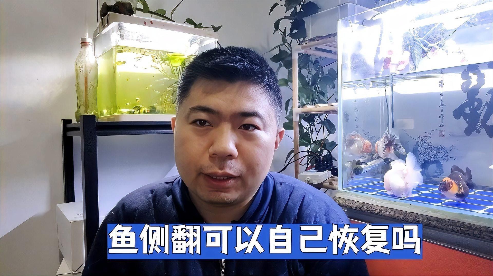 龍魚傾斜能自愈嗎？：龍魚傾斜可以自愈嗎 龍魚傾斜能自愈嗎？：龍魚傾斜可以自愈嗎 龍魚百科 第1張