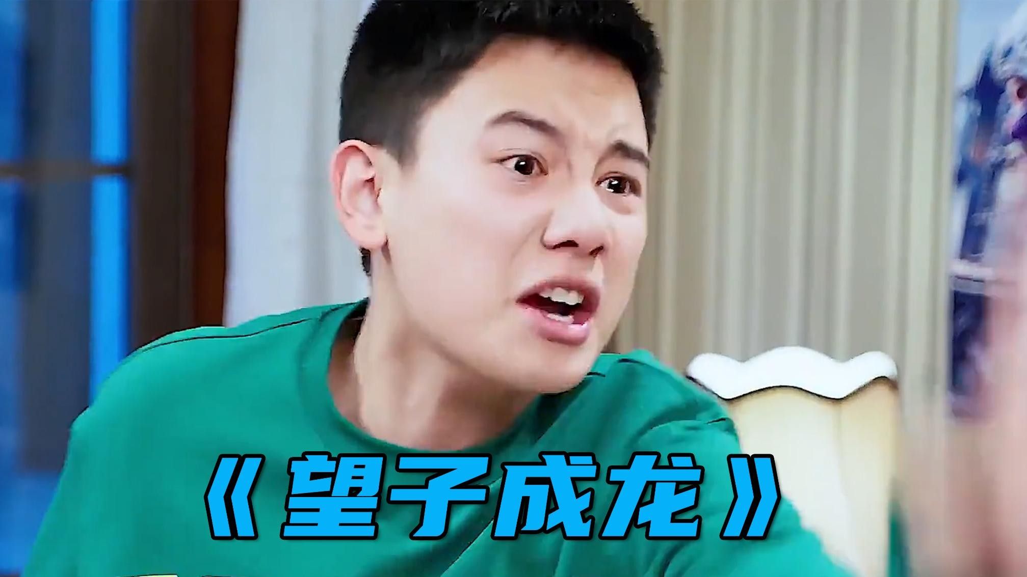 龍貓最喜歡的互動游戲有哪些：龍貓互動游戲推薦
