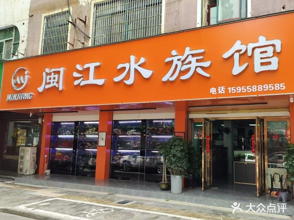 潁上哪個水族館龍魚好？祥龍魚場龍魚：阜陽市潁上縣祥龍魚場 潁上哪個水族館龍魚好？祥龍魚場龍魚：阜陽市潁上縣祥龍魚場 龍魚百科 第2張