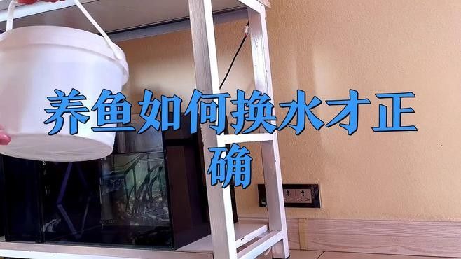 換水時如何避免刺激親魚？：親魚換水過程中需特別注意水溫、換水量及操作方式