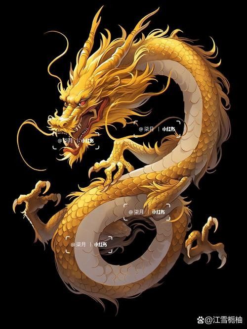 給我一些金龍圖案的免摳素材：金龍圖案免摳素材資源推薦