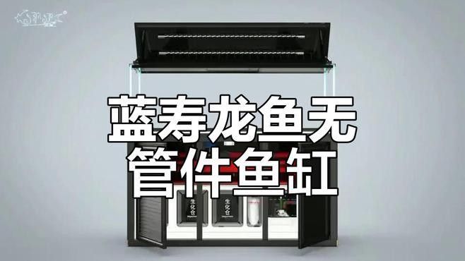 藍底龍魚需要多大的魚缸：小穎美食日記，龍魚缸尺寸解析