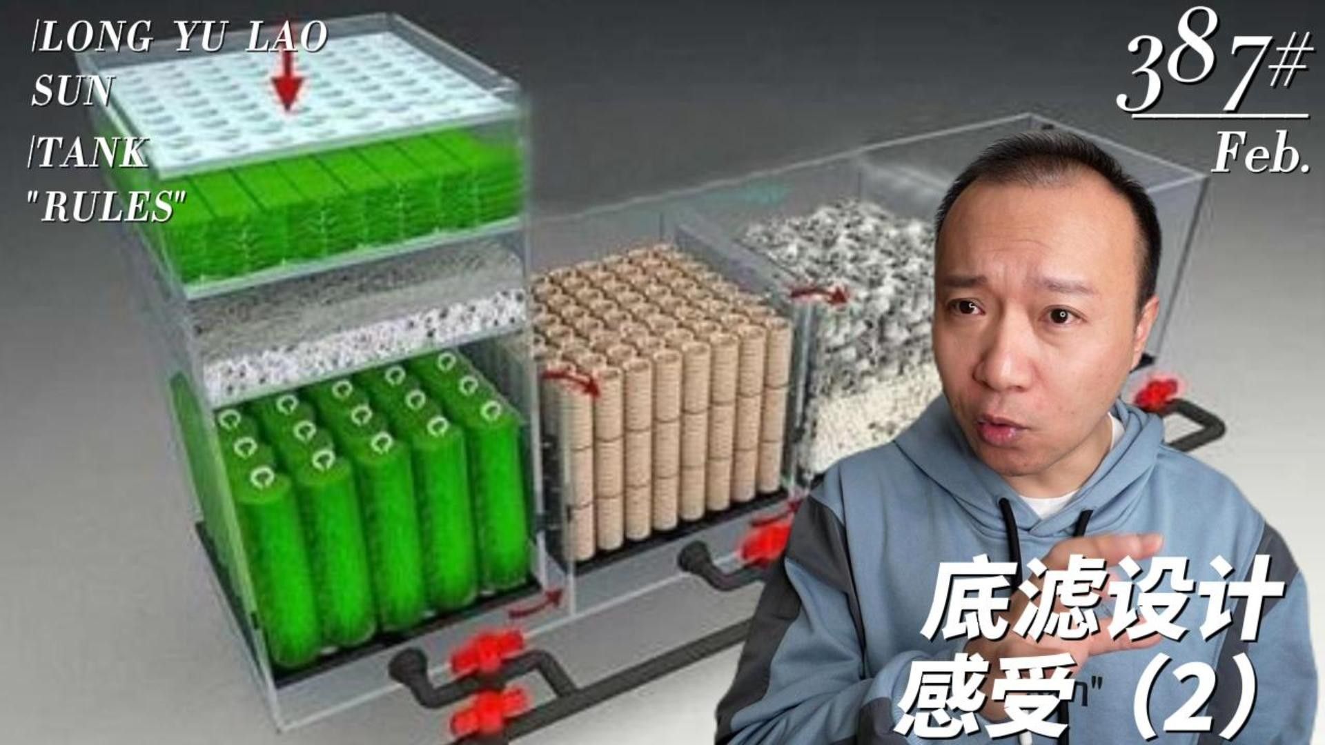 如何設(shè)置龍魚缸的過濾系統(tǒng)？：微信公眾平臺(tái)龍魚缸過濾系統(tǒng)調(diào)試與水質(zhì)管理技巧 如何設(shè)置龍魚缸的過濾系統(tǒng)？：微信公眾平臺(tái)龍魚缸過濾系統(tǒng)調(diào)試與水質(zhì)管理技巧 龍魚百科 第1張