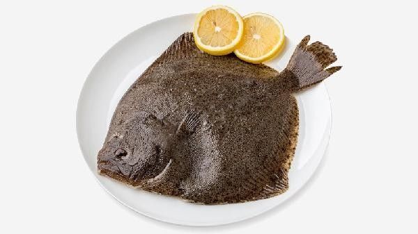 如何判斷烏魚片是否腌制入味？：烏魚片怎么做嫩又好吃 如何判斷烏魚片是否腌制入味？：烏魚片怎么做嫩又好吃 龍魚百科 第7張