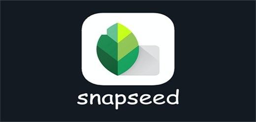 Snapseed有哪些雷龍魚特效：snapseed手機修圖使用教程