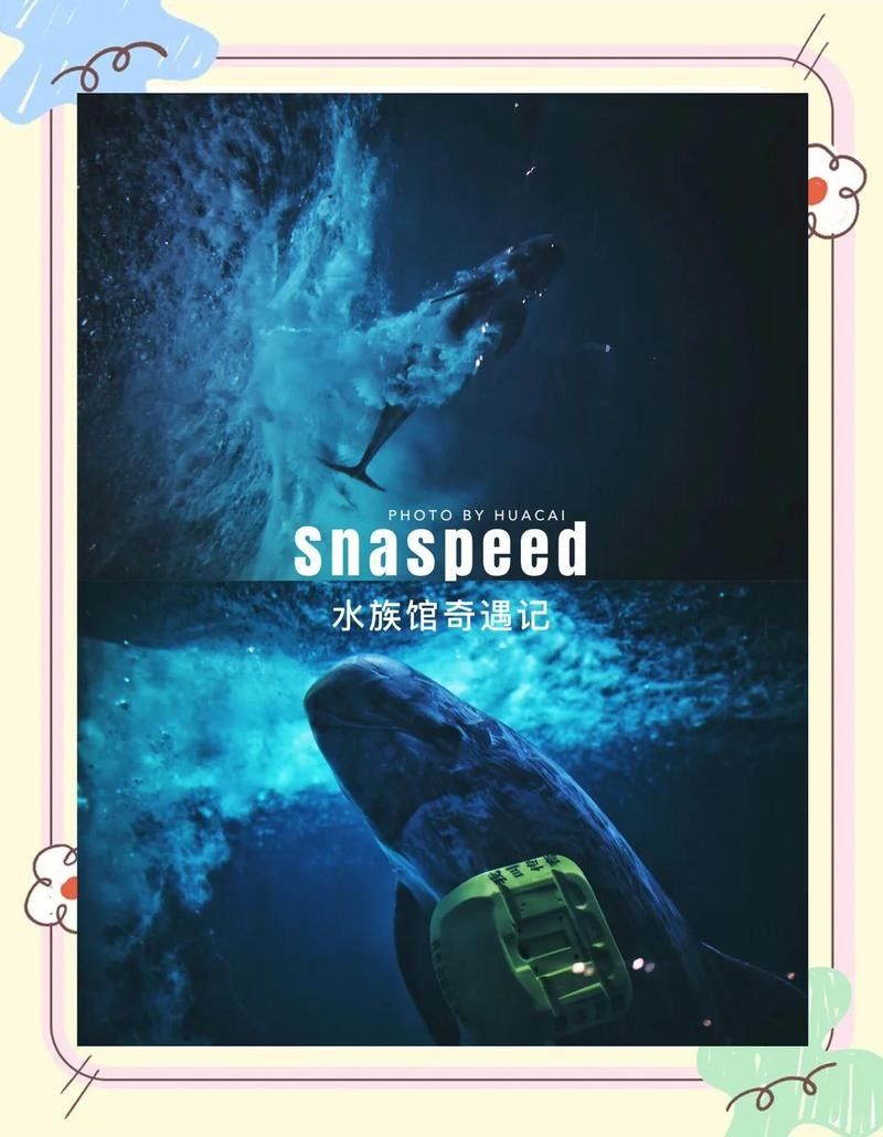 Snapseed有哪些雷龍魚特效：snapseed手機修圖使用教程