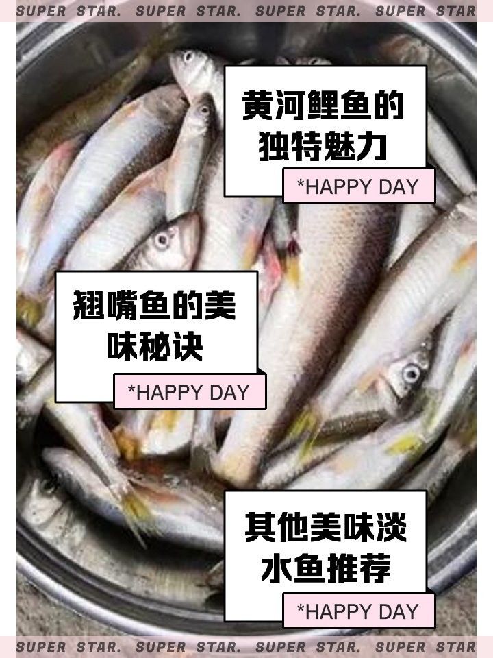 金龍魚和翹嘴魚哪個更好吃？：夏季“翹嘴魚”怎么做好吃