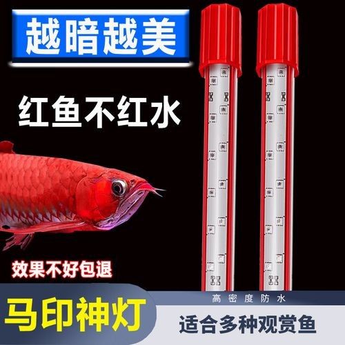 馬印增艷神燈的具體型號有哪些:馬印增艷神燈 龍魚百科 第6張 馬印增艷神燈的具體型號有哪些:馬印增艷神燈 馬印增艷神燈的具體型號有哪些:馬印增艷神燈 龍魚百科 第6張