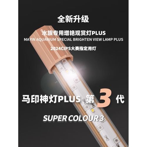 馬印增艷神燈的具體型號有哪些:馬印增艷神燈 龍魚百科 第2張 馬印增艷神燈的具體型號有哪些:馬印增艷神燈 馬印增艷神燈的具體型號有哪些:馬印增艷神燈 龍魚百科 第2張