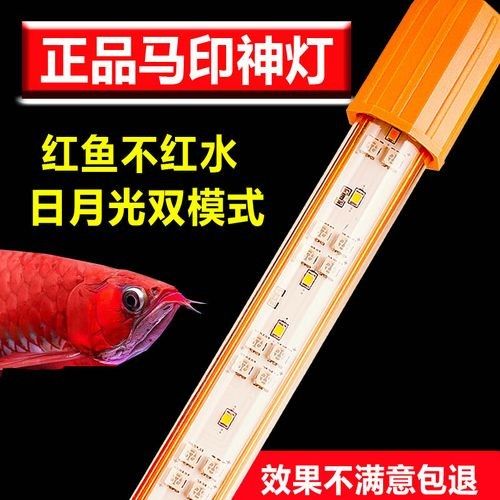馬印增艷神燈的具體型號有哪些:馬印增艷神燈 龍魚百科 第4張 馬印增艷神燈的具體型號有哪些:馬印增艷神燈 馬印增艷神燈的具體型號有哪些:馬印增艷神燈 龍魚百科 第4張