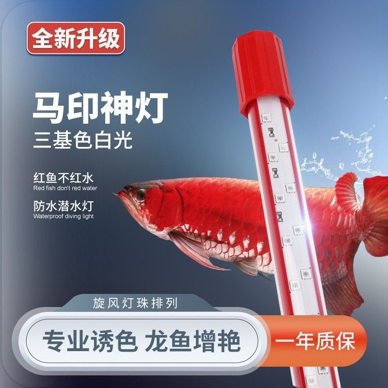 馬印增艷神燈的具體型號有哪些：馬印增艷神燈 馬印增艷神燈的具體型號有哪些：馬印增艷神燈 龍魚百科 第9張