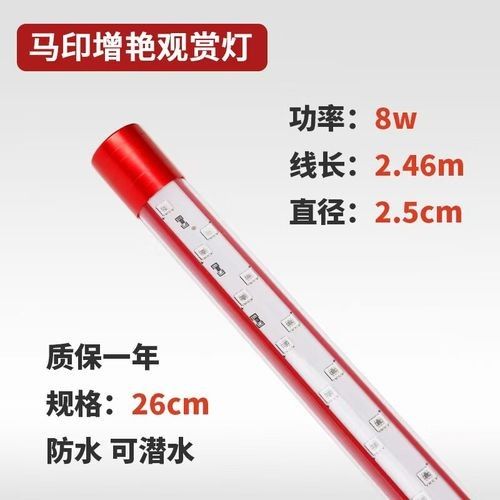 馬印增艷神燈的具體型號有哪些:馬印增艷神燈 龍魚百科 第1張 馬印增艷神燈的具體型號有哪些:馬印增艷神燈 馬印增艷神燈的具體型號有哪些:馬印增艷神燈 龍魚百科 第1張
