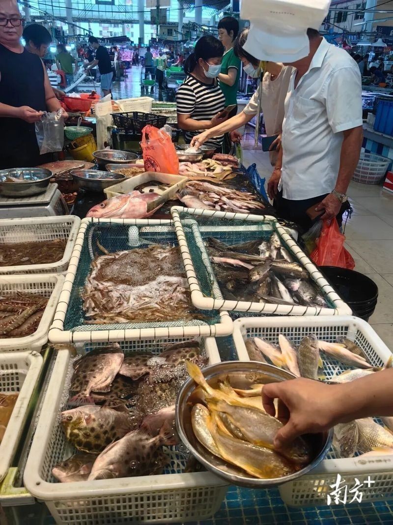中山哪個水族館龍魚好？祥龍魚場龍魚：中山市多家水族館提供龍魚銷售及祥龍魚場相關信息