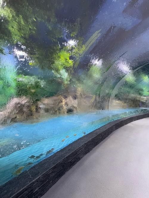 中山哪個水族館龍魚好？祥龍魚場龍魚：中山市多家水族館提供龍魚銷售及祥龍魚場相關信息