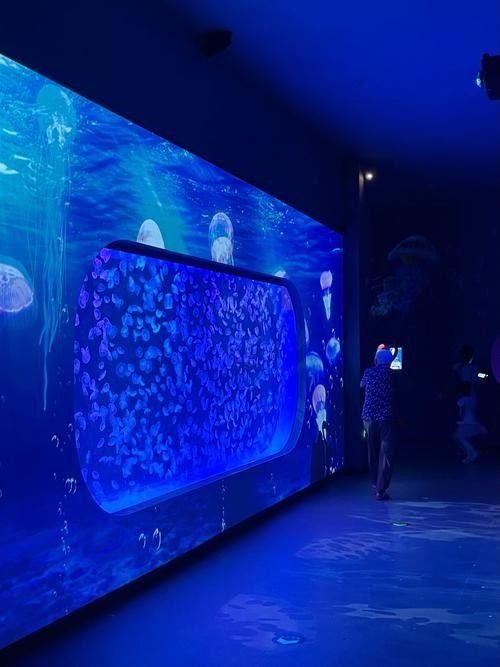 中山哪個水族館龍魚好？祥龍魚場龍魚：中山市多家水族館提供龍魚銷售及祥龍魚場相關信息
