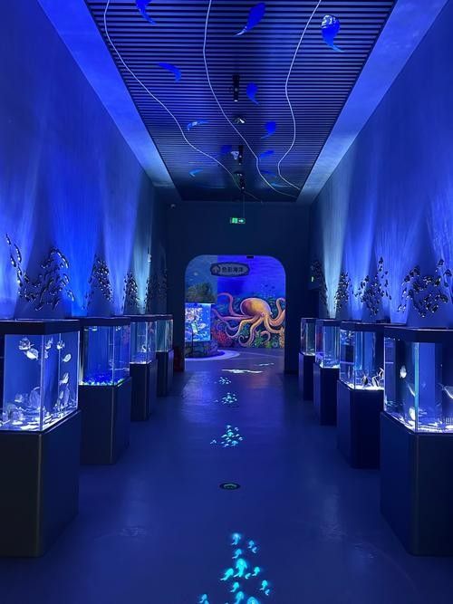 中山哪個水族館龍魚好？祥龍魚場龍魚：中山市多家水族館提供龍魚銷售及祥龍魚場相關信息