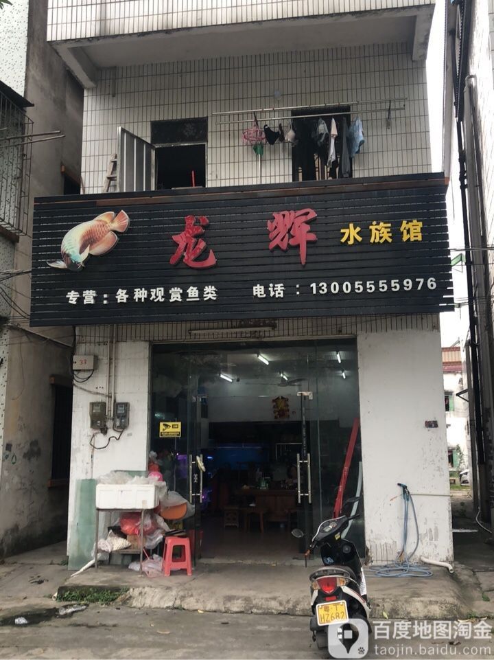 中山哪個水族館龍魚好？祥龍魚場龍魚：中山市多家水族館提供龍魚銷售及祥龍魚場相關信息