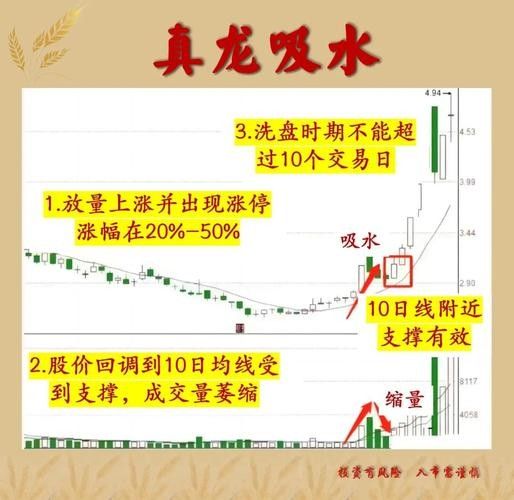 雙養龍魚如何降低風險：草缸養魚蝦二條龍魚混養的4點經驗,你有勇氣也不行