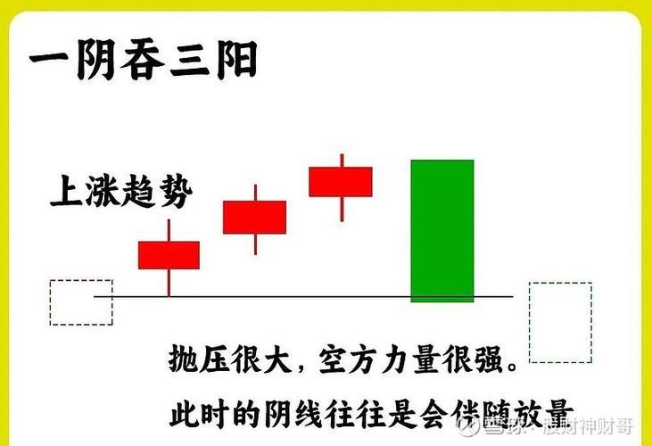 雙養龍魚如何降低風險：草缸養魚蝦二條龍魚混養的4點經驗,你有勇氣也不行