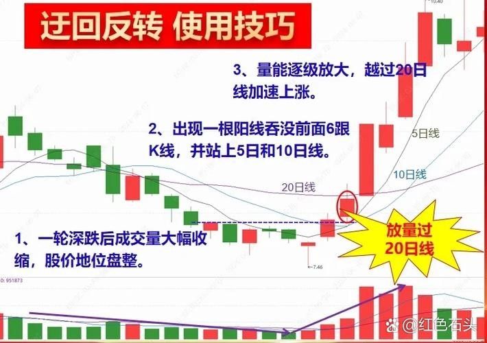 雙養龍魚如何降低風險：草缸養魚蝦二條龍魚混養的4點經驗,你有勇氣也不行