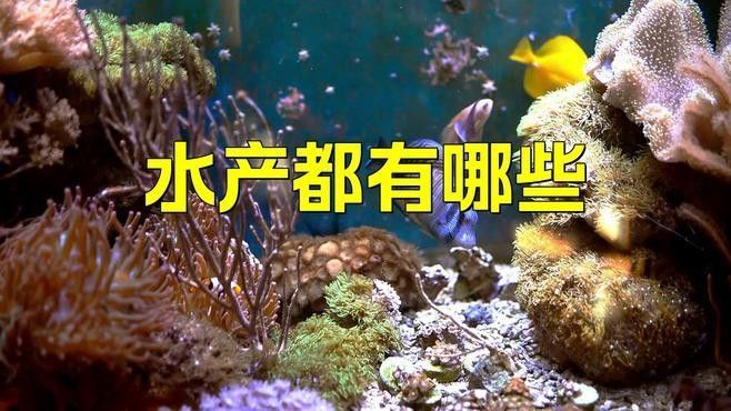 林秀龍魚檔回收哪些類型的水產(chǎn)品？：林秀龍魚檔的回收流程如何？