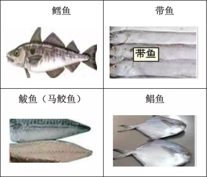 林秀龍魚檔回收哪些類型的水產(chǎn)品？：林秀龍魚檔的回收流程如何？