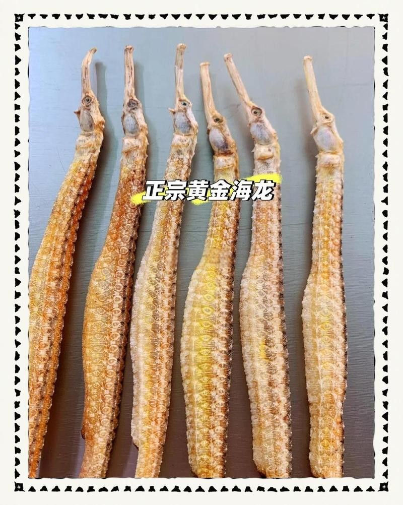 如何辨別真假海龍魚干？：復禾健康如何挑選海龍干