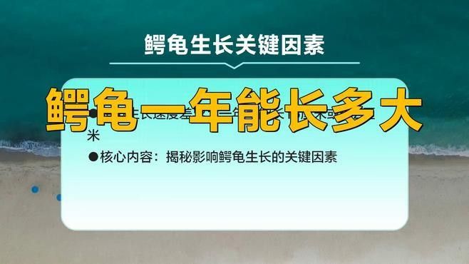 過背藍底金龍魚能長多大？：科普中國-過背藍底金龍魚