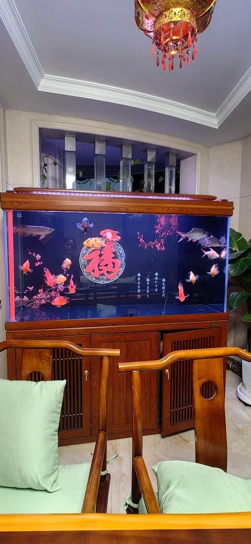 哪里可以找到更多魚缸背景圖片：北京金魚展:北京金魚展:水墨畫卷中的靈動詩篇cglyckq