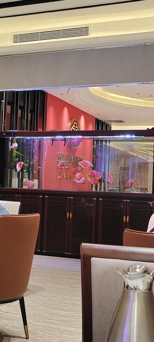 哪里可以找到更多魚缸背景圖片：北京金魚展:北京金魚展:水墨畫卷中的靈動詩篇cglyckq