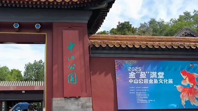 哪里可以找到更多魚缸背景圖片：北京金魚展:北京金魚展:水墨畫卷中的靈動詩篇cglyckq