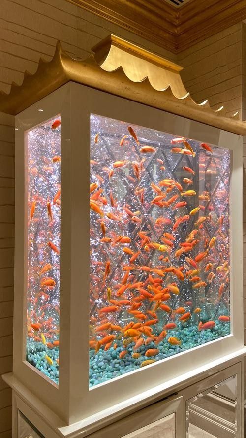 哪里可以找到更多魚缸背景圖片：北京金魚展:北京金魚展:水墨畫卷中的靈動詩篇cglyckq