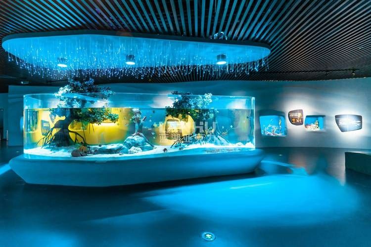 哪里可以找到更多魚缸背景圖片：北京金魚展:北京金魚展:水墨畫卷中的靈動詩篇cglyckq