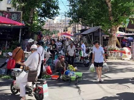 馬鞍山還有哪些觀賞魚批發商：馬鞍山花鳥市場在哪里進貨