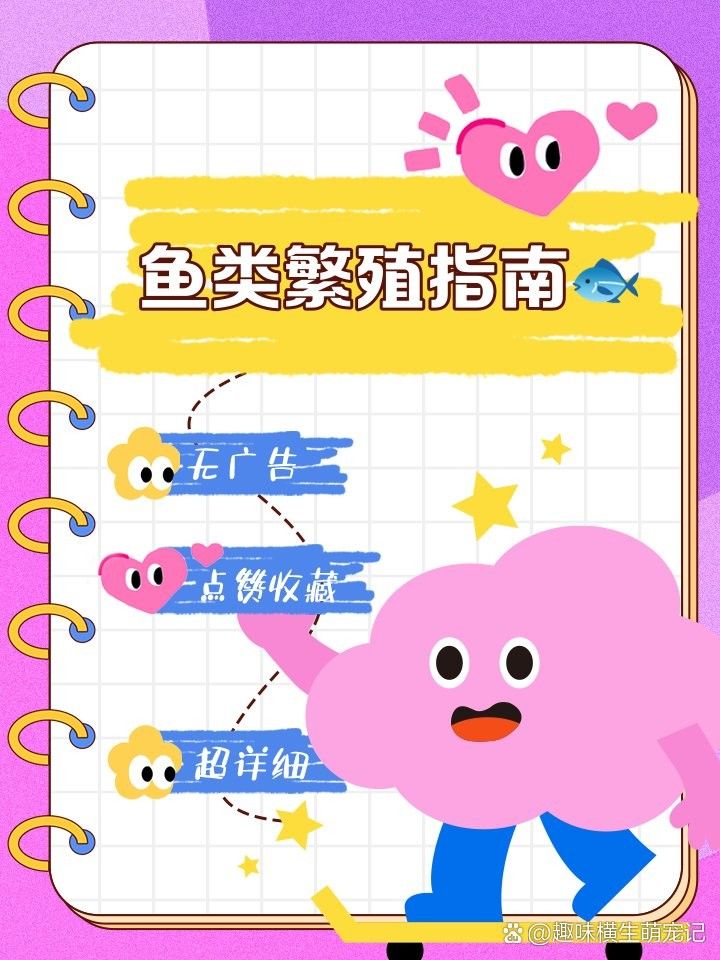 火龍魚繁殖時有哪些注意事項：小火龍生蛋的基本規則