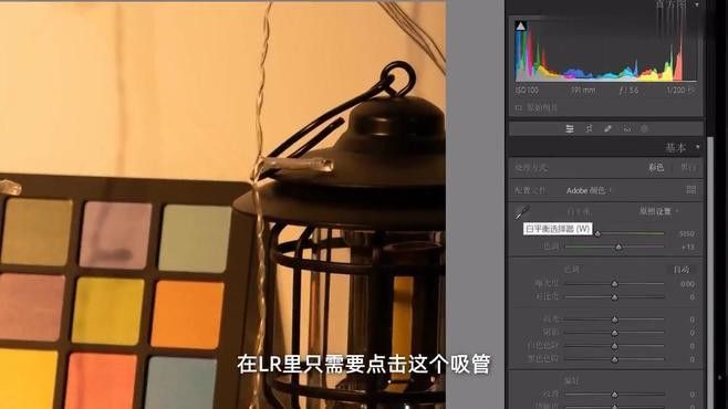 調(diào)整色溫時需要注意哪些事項？：攝影入門必知白平衡和色溫含義及調(diào)整技巧淺酌日月 調(diào)整色溫時需要注意哪些事項？：攝影入門必知白平衡和色溫含義及調(diào)整技巧淺酌日月 龍魚百科 第2張