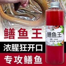 翹嘴龍魚的價格是多少：翹嘴魚價格有何差異呼倫貝爾大草原的貓咪們養(yǎng)殖要點