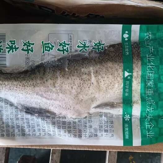 翹嘴龍魚的價格是多少：翹嘴魚價格有何差異呼倫貝爾大草原的貓咪們養(yǎng)殖要點