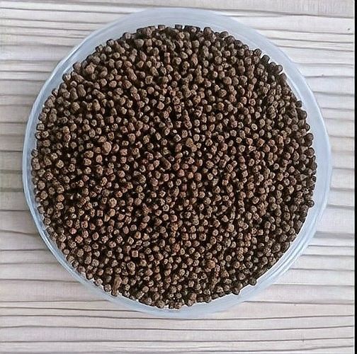 翹嘴龍魚的價格是多少：翹嘴魚價格有何差異呼倫貝爾大草原的貓咪們養(yǎng)殖要點