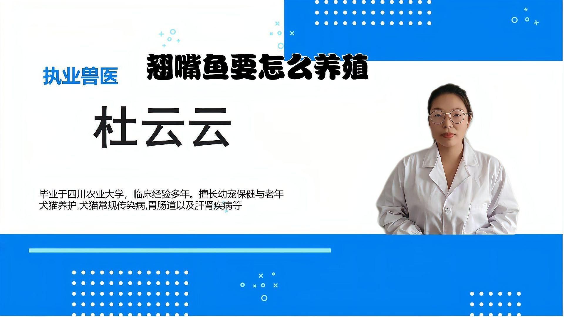翹嘴龍魚的價格是多少：翹嘴魚價格有何差異呼倫貝爾大草原的貓咪們養(yǎng)殖要點